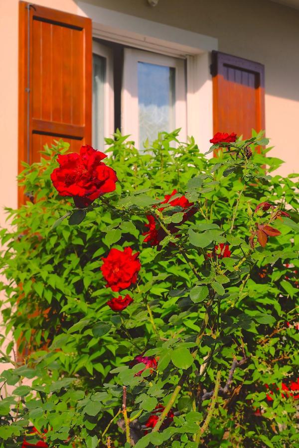 Aria Di Casa B&B Канту Экстерьер фото